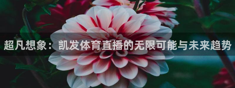 搜球吧在线直播nba：超凡想象：凯发体育直播的无限可能与未来趋势