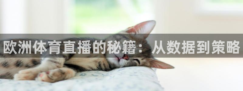 搜球吧nba视频直播：欧洲体育直播的秘籍：从数据到策略