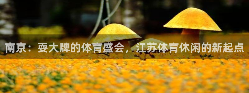 搜球体育直播app