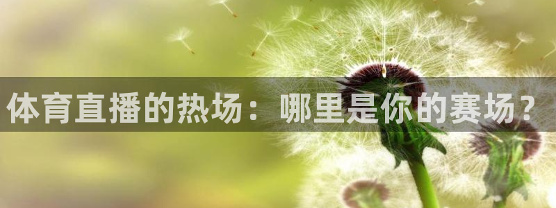 搜球吧直播nba中文直播